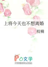 上将今天也不想离婚封面